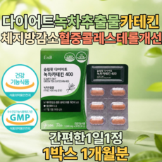 식약처 인증 다이어트 녹차 추출물 카테킨 체지방 혈중 콜레스테롤 감소 도움 중년 장년 여성 주부 엄마 선물 추천