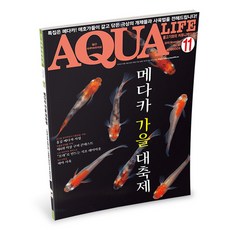 아쿠아라이프 2016년 11월호 _ 메다카 가을 대축제