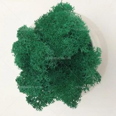인공 녹색 식물 영원한 생명 DIY 잔디 홈 룸 미니 가짜 50g, 2)10g, turquoise