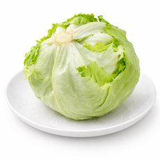 온파머스 국내산 양상추 가락시장 당일경매, 1개, 800g