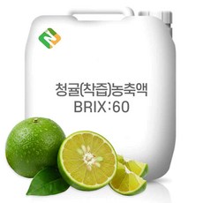 청귤(착즙)농축액 60Brix 200g 샘플, 1개