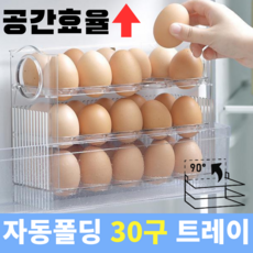 맥너슨 공간절약 30구 계란 트레이, 투명색, 1개