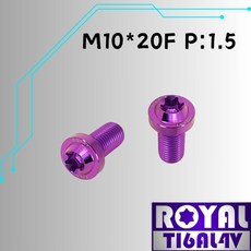 【瘋螺絲】ROYAL M10*20F P:1.5 飛碟頭型螺絲 64鈦/鈦合金螺絲 出貨附發票 皇家紫, 1個