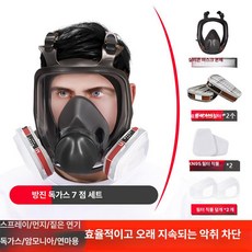 안면 보호마스크 살포 산업용 투명 살충제 용접마스크, 방독 전면 마스크 + 고효율 필터 카트리지 세트, 1개
