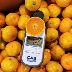 13Brix 고당도특수농법 당도끝판왕 제주 귤5kg, 1박스, 5kg 대과