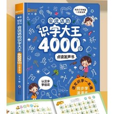 한자공부 오디오 소리 음성 4000단어 엄마표중국어 기초 입문 유아, 4000 한자 + 8000 단어