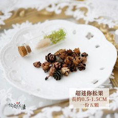 極度花燥 噴玫瑰金迷你松果, 超迷你松果,約0.5~1.5公分-五顆,╳本身就優惠╳