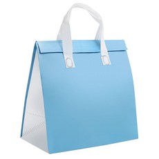 부직포 냉온 쇼핑백가방 파랑 대(27.5x20x27.5cm) 1(개) 4969 PCS