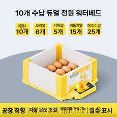 병아리 부화기 메추리 자동 사육장 키우기 싱글 유정란 육추기, 1개, 10알 조합 수조 이중 전원 알 투과기