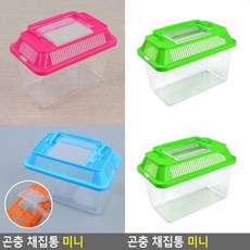 초소형 미니 곤충채집통 어린이 관찰학습용 초소형용기 유아용 작은 곤충채집통 아기손용기