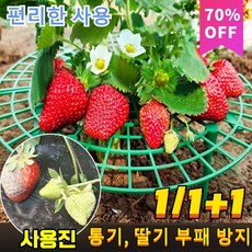 10개/20개 딸기 식물 재배 받침대 홈메이드 딸기 트레이, 녹색*16