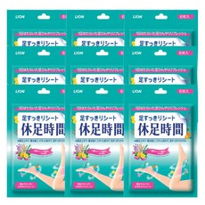 휴족시간 쿨링시트 6매입 9개, 6개입