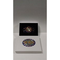 炫彩蝴蝶魚合金版指尖陀螺 方鐵盒裝, 1個