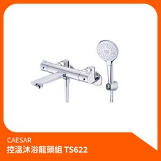凱撒CAESAR控溫沐浴龍頭組TS622，淋浴組花灑組，蓮蓬頭沐浴淋浴水龍頭洗澡，恆溫舒適安全, 1個
