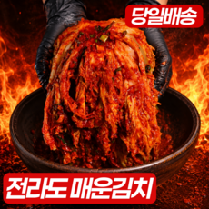 [진짜 매운] 전라도 실비김치 포기 배추 김치, 1박스, 1kg
