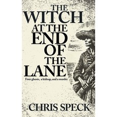 (영문도서)The Witch at the End of the Lane: Four ghosts a kidnap and a murder Paperback, Flat City Press, English, 9781068718359