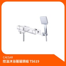 凱撒CAESAR 控溫沐浴蓮蓬頭組 TS619, 1個