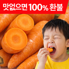 [레몬990] 흙당근 10kg 못난이 쥬스용, 1개, 흙당근 / 쥬스용못난이 / 5kg(박스포함) / 혼합