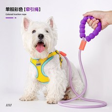 廠家直發熱賣狗狗牽引繩雲朵泡泡棉遛狗繩寵物小狗多巴胺撞色P繩批髮 O6X5, 橙色,1.0*150, 1個