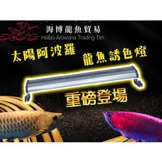 海博龍魚貿易 太陽阿波羅龍魚專業誘色燈 超廣角165度 10段亮度調節 防潑水設計, 1個