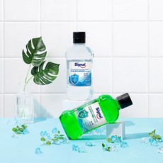 시그널 구강청결제 액티브 멘톨향 770ML + 액티브 페퍼민트향 770ML, 1개