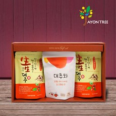 자연트리 1호 선물세트(대추칩40gX2개+대추차X1개), 1개