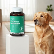 강아지눈물영양제 펫생각스토어 펫생각리얼루테인, 60정, 눈물개선/눈건강, 1개