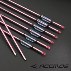 순수 카본 화살 핑크 스파인 핑크블루 스핀 윙 베인 양궁 사냥용, 1개, 24. 12pcs blue spine700