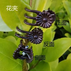蘭花夾-單入，滿10送1，滿200送100，番茄夾子，嫁接夾，瓜果夾，南瓜夾，藤蔓夾，綁枝，藤蔓攀藤, 1個