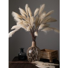 감성 조화 핑크 뮬리 갈대 인테리어 장식용 꽃 플라워 소품, 연노랑 5송이