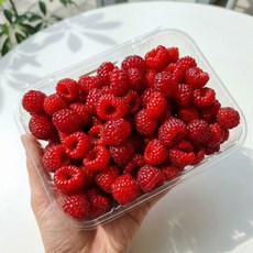 실패없는 산딸기 생과, 1박스, 250g(특상)