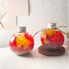 가을 스칸디아모스 만들기 단풍 DIY 키트 시니어 노인 중학생 원예 활동, 모스 단풍 하바리움 만들기(P0000LEU)
