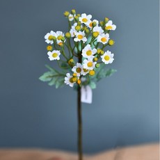 가팡 드라이플라워 ADRYE008 국화 화이트 04번