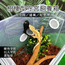 樹棲守宮飼養箱：爬蟲箱、守宮飼育箱，適用於睫角守宮、巨人守宮、蓋勾亞，多尺寸可選, 1個, 卡扣款,空箱