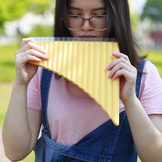 팬 플루트 파이프 키 팬파이프 초보자용 플루타 목관악기 가방 부품, 1개, 4. Yellow, 기본
