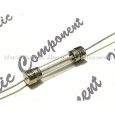 BUSSMANN MDL 2A 6.3mmx32mm 帶腳 保險絲 FOR AUDIO BUSS, 1個