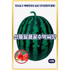 산들 달콤 꿀수박씨앗 15립 당도 높고 재배안정성 좋은 소량 수박씨 종자, 1개