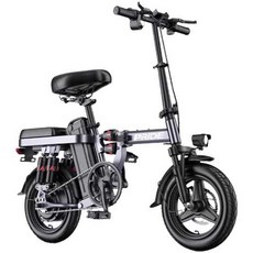 전기자전거 접이식 성인용 마실용 자전거 48V 세발 블랙 주행거리