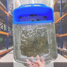 다슬기 채집통 대 탐구용통 관찰키트 탐험놀이 생물학습 곤충관찰 다용도통