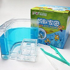 투명 아크릴 개미 사육 관찰 상자 ㄱ자 구조 곤충 생태 학습 교육 키트 어린이, 1개, 개미집관찰-ㄱ자형