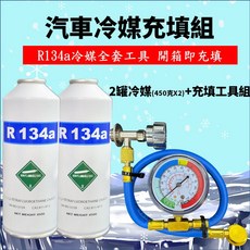 汽車冷媒R134a填充組，含壓力錶及工具套件，DIY簡易操作，提升冷房效果, R134a車系, R134a冷媒 (450克x2) + 充填工具), 通用