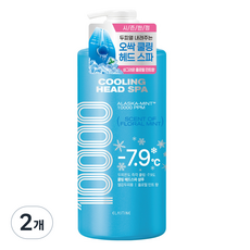 엘라스틴 쿨링 헤드 스파 10000 샴푸 플로럴민트, 1L, 2개