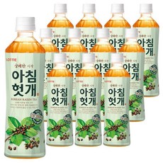 롯데칠성음료 아침헛개, 500ml, 12개