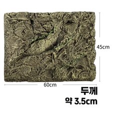 비바리움 백스크린 도마뱀 사육장 장식 탄화코르크, 1개, C