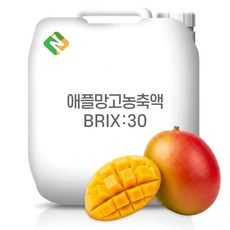 애플망고농축액 30Brix 200g 샘플, 1개