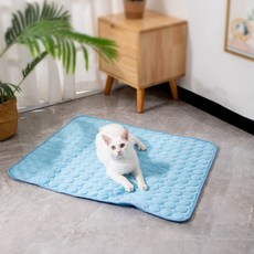 APOIO 애견 아이스 쿨매트 통세탁 냉감패드, 블루