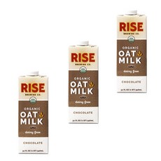 라이즈브루잉 오트 밀크 초콜릿, 3개, 946ml