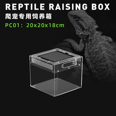 파충류 사육장 게코 케이지 도마뱀 투명 하우스 은신처 파충류 P03+03 배경판, 1개, 2_조경 마스터 P01 20x20x18