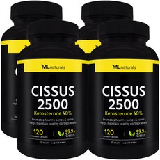 마이라이프 내추럴스 시서스 2500mg, 4개, 120정