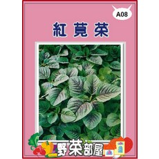 【野菜部屋】A08 紅莧菜種子 (約20000粒) 易種植, 1包